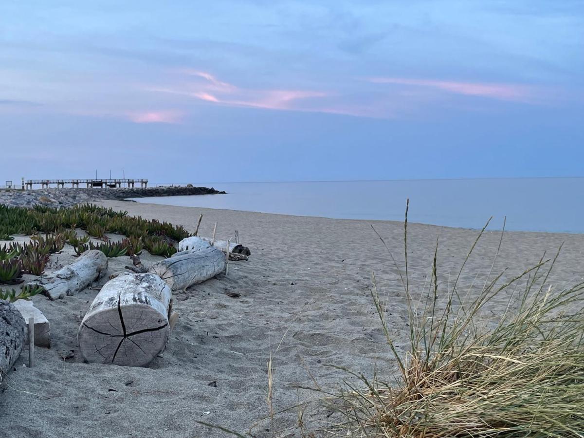 Ferienhaus In Residence Naturiste Direkt Am Strand Leucate Eksteriør bilde